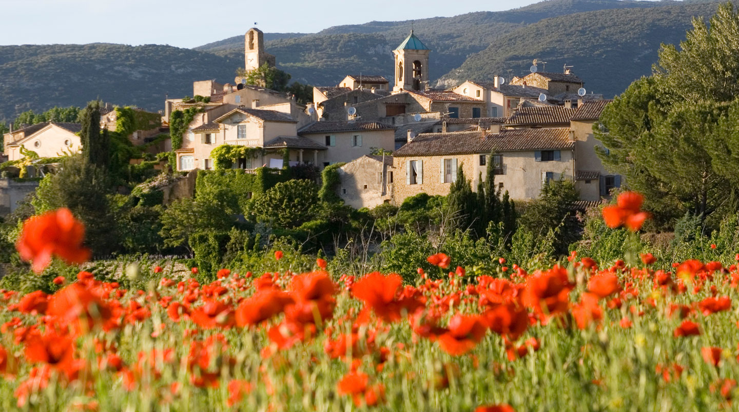 Façade en pierre d'une maison provençale traditionnelle avec volets en bois et végétation méditerranéenne à Lourmarin